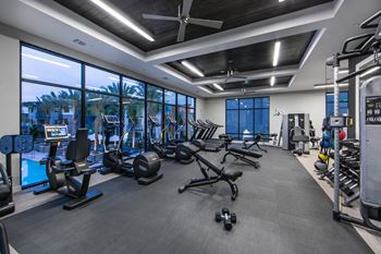 24-Hour fitness center with free weights and cardio machines